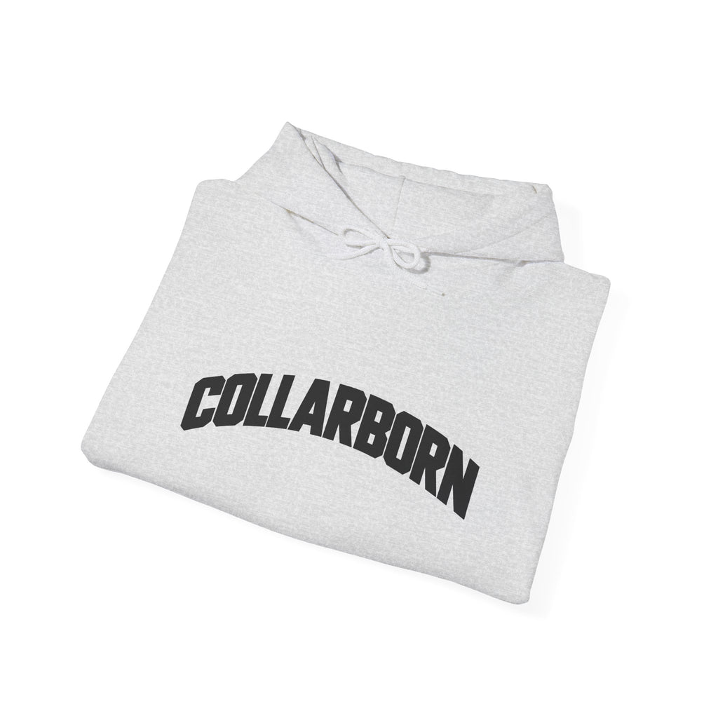 Unisex Heavyweight Blue Collar Brotherhood Hoodie