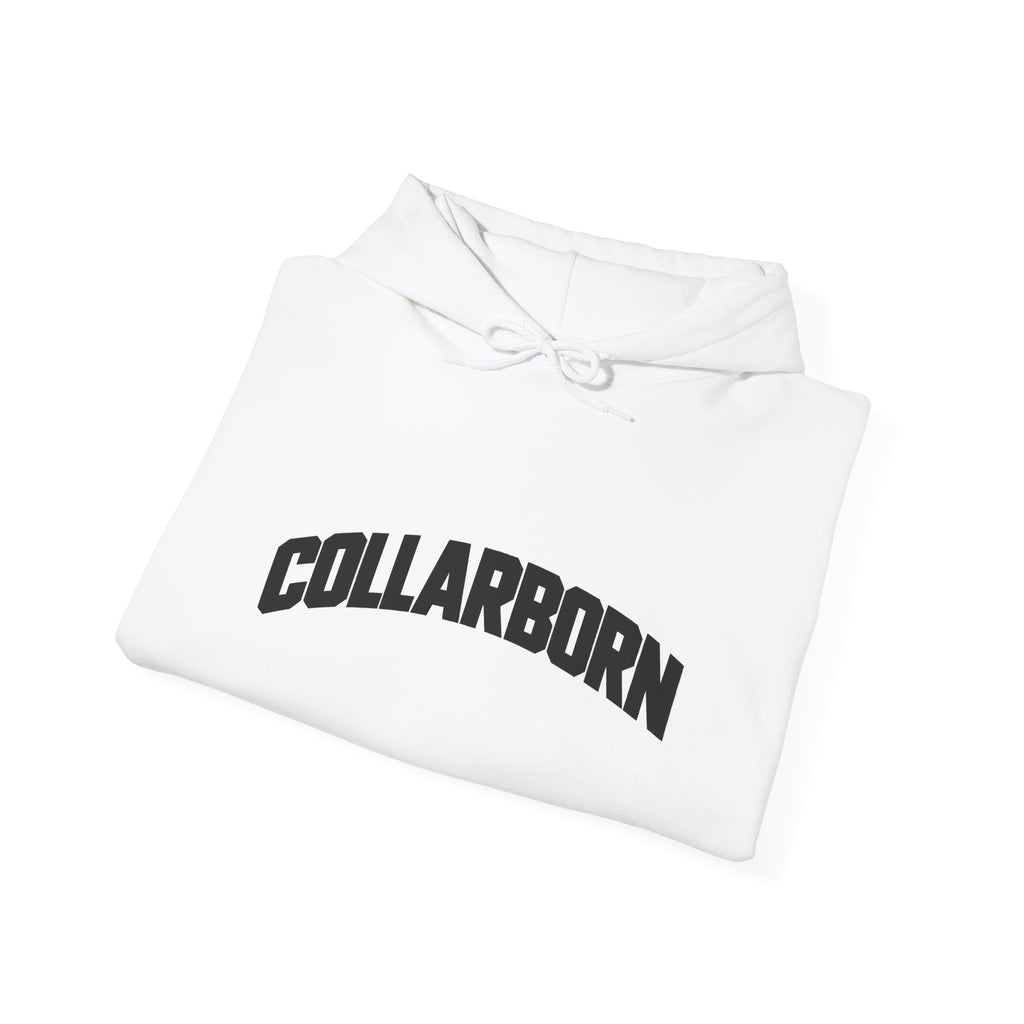 Unisex Heavyweight Blue Collar Brotherhood Hoodie